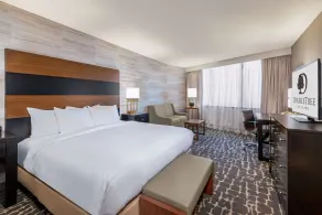 DoubleTree by Hilton Denver - Aurora - Chambre