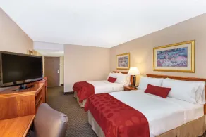 Ramada by Wyndham Midtown Grand Island - Chambre