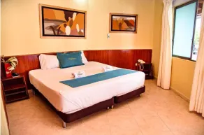 HOTEL MONCHUELO SPA  - Chambre