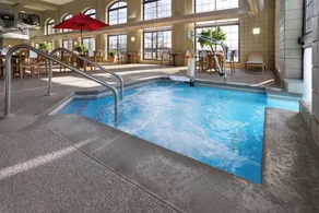 Holiday Inn Midland by IHG - Piscina