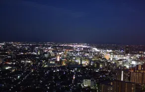 Hotel Nikko Niigata - Vue de la chambre