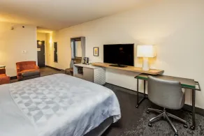 Holiday Inn Hotel & Suites Memphis - Wolfchase Galleria by IHG - Chambre