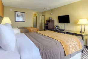 Quality Inn & Suites Chattanooga-East Ridge - Chambre