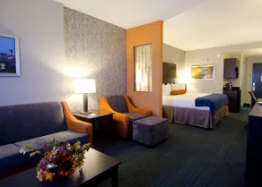 Holiday Inn Express Hotel & Suites Knoxville by IHG - Chambre