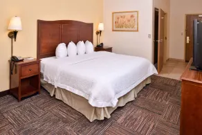 Hampton Inn Elkhart IN - Chambre