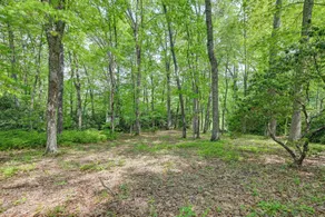 'smallwood' Cute Highlands Home w/ Screened Porch! - Intérieur