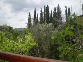 Amirim Atmosphere - Vistas desde la habitación