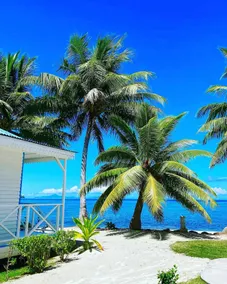 Opoa Beach Hotel - Vue de la chambre