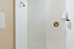 Fairfield Inn & Suites by Marriott Atlanta Alpharetta - Salle de bain