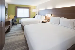 Holiday Inn Express Roseville-St. Paul by IHG - Chambre