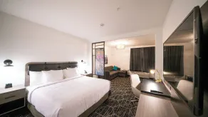 La Quinta Inn & Suites by Wyndham Austin Parmer Tech Ridge - Chambre