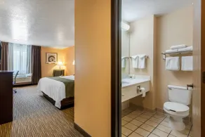 Quality Inn & Suites Albuquerque North near Balloon Fiesta Park - Salle de bain