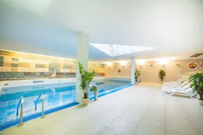 Premier Kraków Hotel - Pool