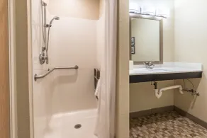 Comfort Inn Detroit Downtown - Salle de bain