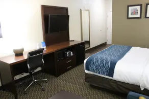 Comfort Inn & Suites Near Six Flags & Medical Center - Room