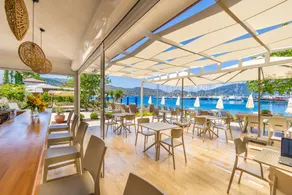 Base Selimiye - Reception