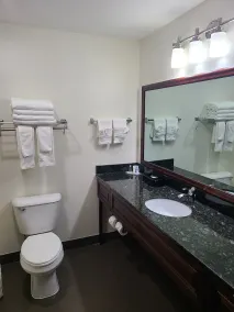 Comfort Suites Madison West - Middleton - Salle de bain