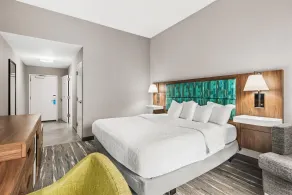 Hampton Inn Elkton - Chambre
