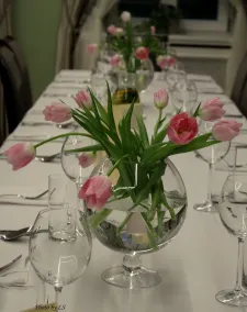 Kasztanowy Pałac - Restaurant