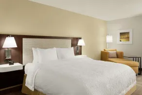 Hampton Inn Houston Hobby Airport - Room
