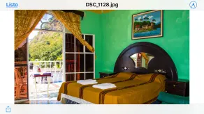 Hotel Amigo - Room