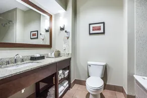 Comfort Inn & Suites Love Field-Dallas Market Center - Salle de bain