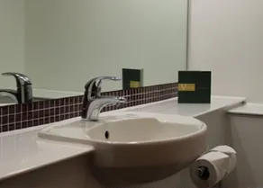 The Villa Express - Baño