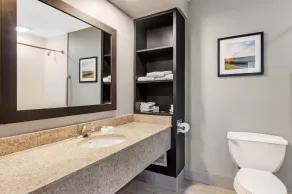 Best Western Rochester Hotel Mayo Clinic Area/ St. Mary's - Salle de bain