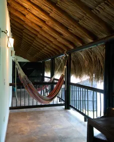 Dreamer Palomino - View from room