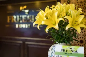 Sapa Freesia Hotel - Recepción
