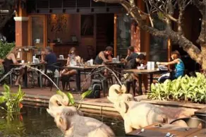 Rambuttri Village Inn & Plaza - Restaurant
