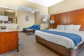 Comfort Suites Findlay I-75 near Sports Complex - Chambre