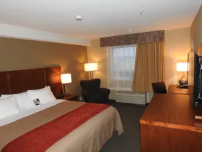 Comfort Inn & Suites - Chambre