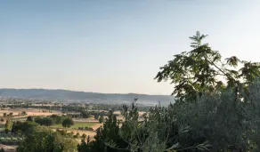 B&B Cantico Delle Creature - Vue de la chambre