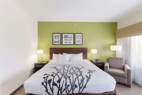 Sleep Inn & Suites Midland West - Chambre