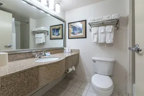 Wingate by Wyndham Charlotte Concord Mills/Speedway - Salle de bain