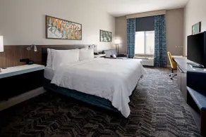Hilton Garden Inn Minneapolis - Maple Grove - Chambre