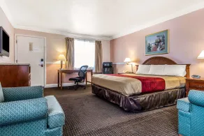 Econo Lodge Castro Valley I-580 - Chambre