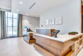Hilton Garden Inn North Dallas Central Expy - Réception