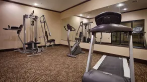 Best Western Plus Emory at Lake Fork Inn & Suites - Fitness facility