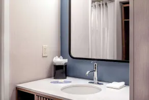 Sonesta Select Boston Foxborough Mansfield - Salle de bain