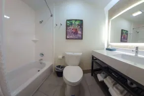 La Quinta by Wyndham Dallas Mesquite - Salle de bain