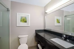 La Quinta by Wyndham Kearney - Salle de bain