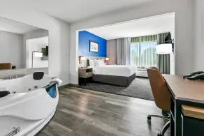 Comfort Inn & Suites Grand Blanc-Flint - Room