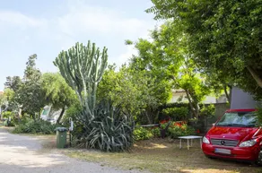 Camping Degli Ulivi - Overnatningsstedets område