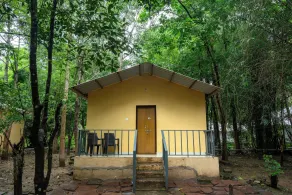 Dandeli Luxury Jungle Resort - Image 5