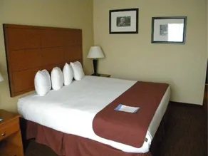 Baymont by Wyndham Savannah/Garden City - Chambre