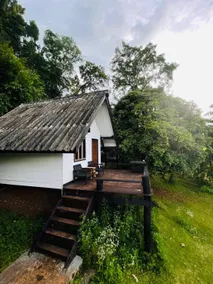Jungle guest house - Chambre