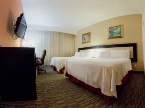Excellence Express & Suites - Zimmer