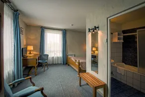 Logis Hôtel Restaurant Hostellerie de l'Étoile - Værelse